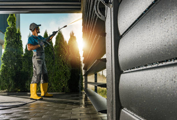 Best Graffiti Removal  in Colwyn, PA